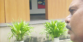 alok tomar