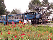 Toy Train