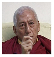 प्रोफेसर सामदोंग रिंपोचे