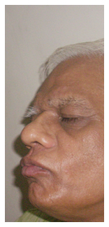 विष्णु नागर