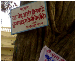 इमली
