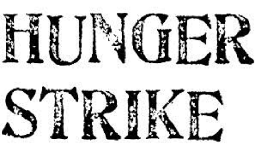 Hunger Strike