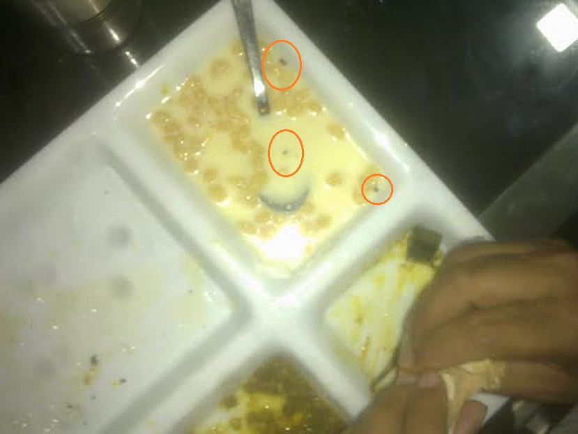 लाल घेरे में दिख रहे कीड़े