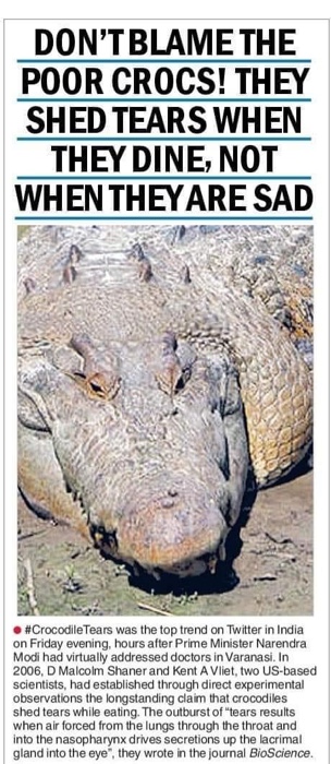 img_3256 | No. 1 Indian Media News Portal