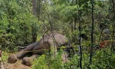 elephant_deadbody1 | No. 1 Indian Media News Portal