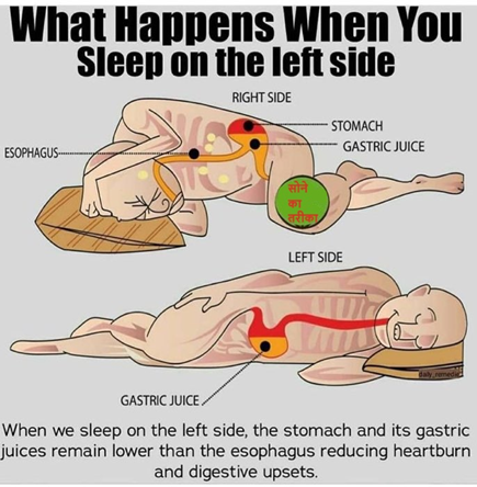 Left_side_sleep | No. 1 Indian Media News Portal