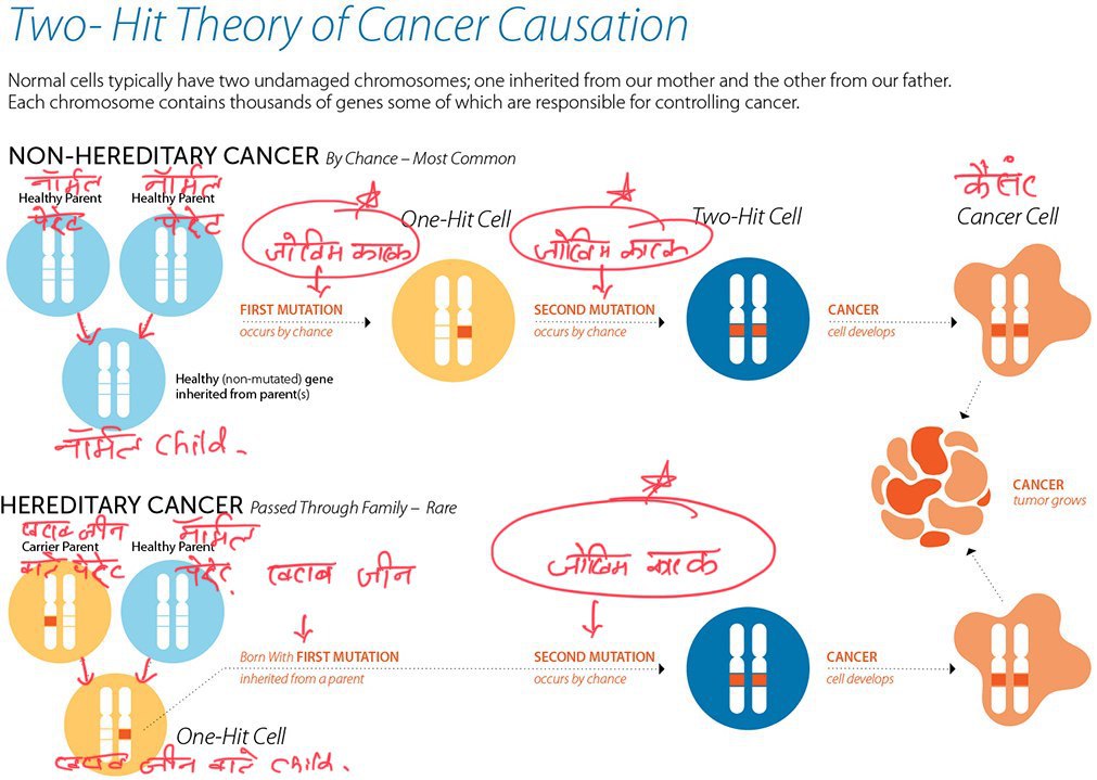 cancer@vikas | No. 1 Indian Media News Portal
