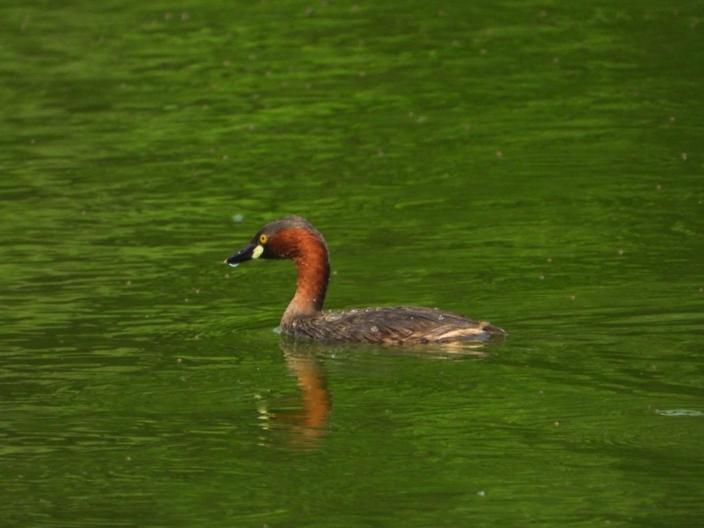 satpula lake-3 | No. 1 Indian Media News Portal