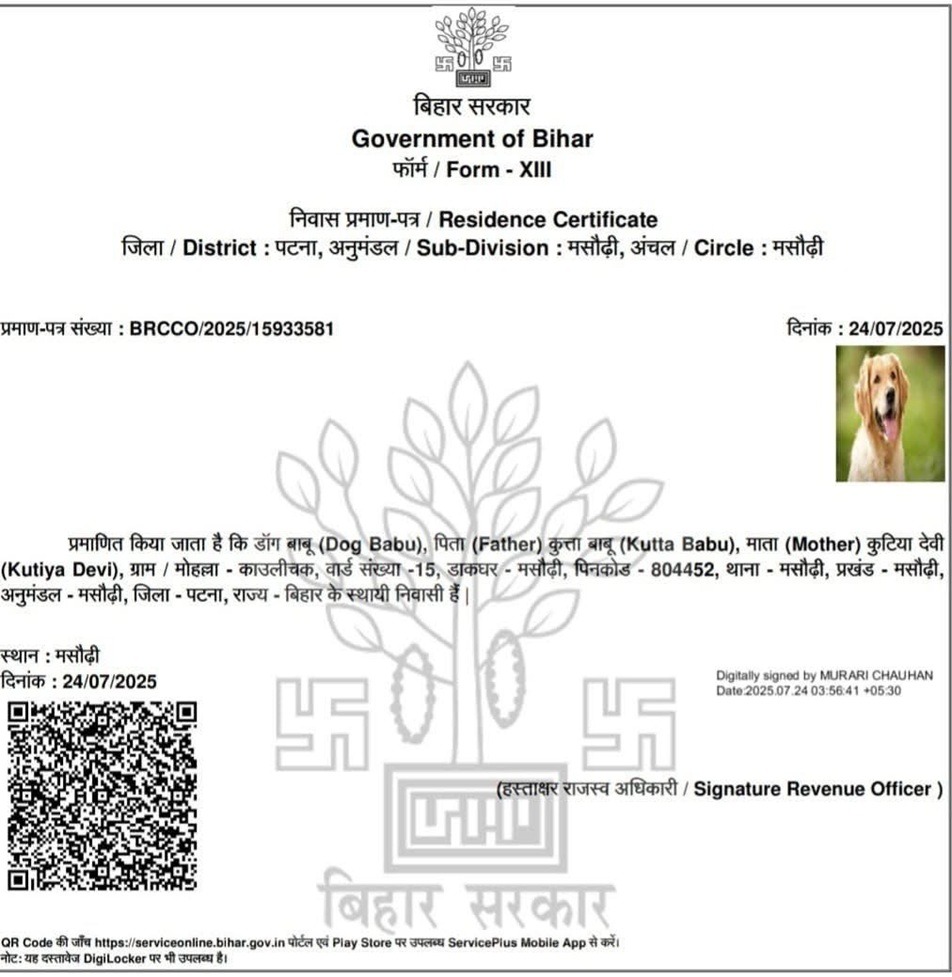 dog babu bihar | No. 1 Indian Media News Portal