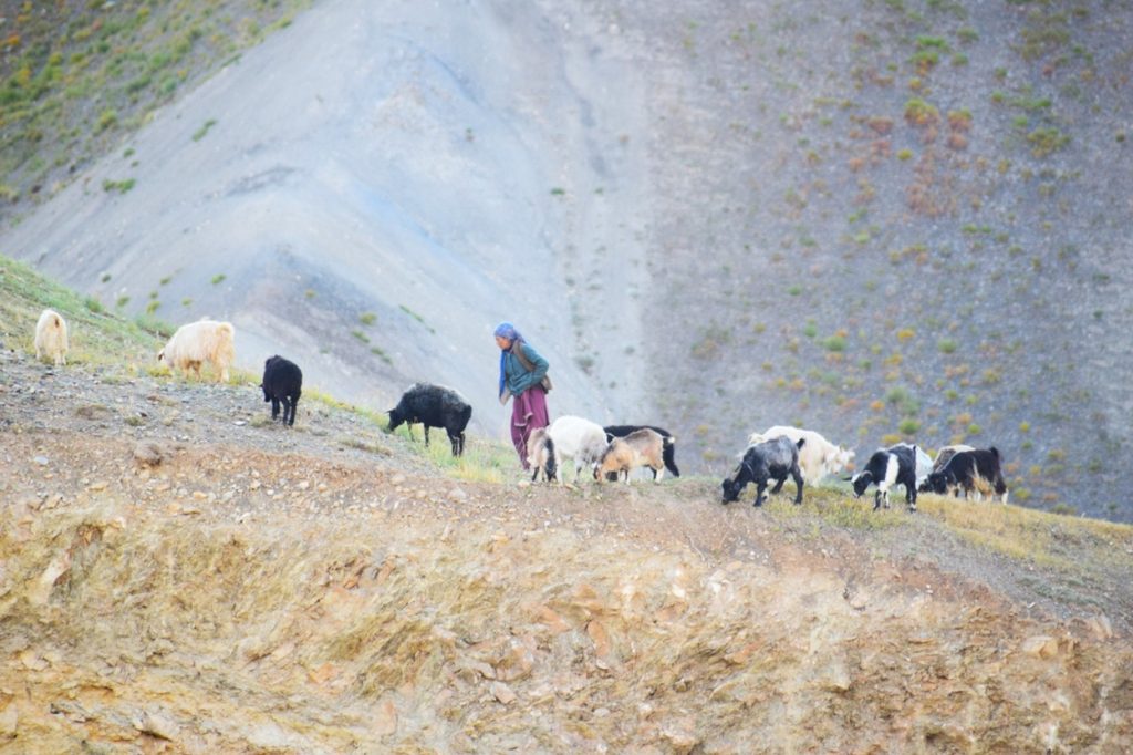 ladakh-4 | No. 1 Indian Media News Portal