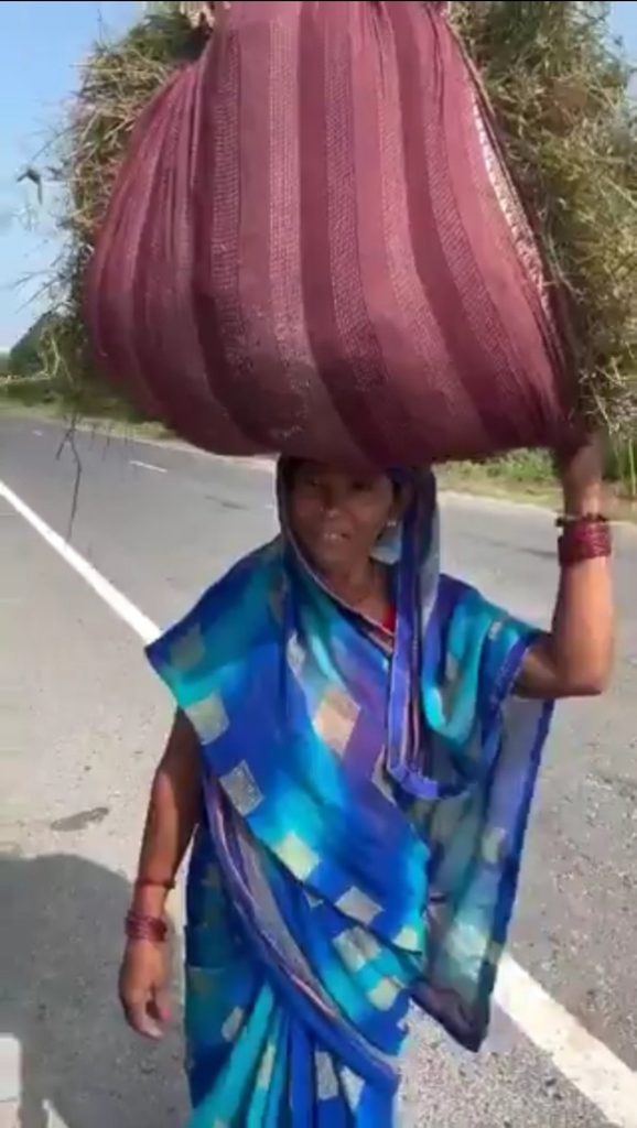 chhapra | No. 1 Indian Media News Portal