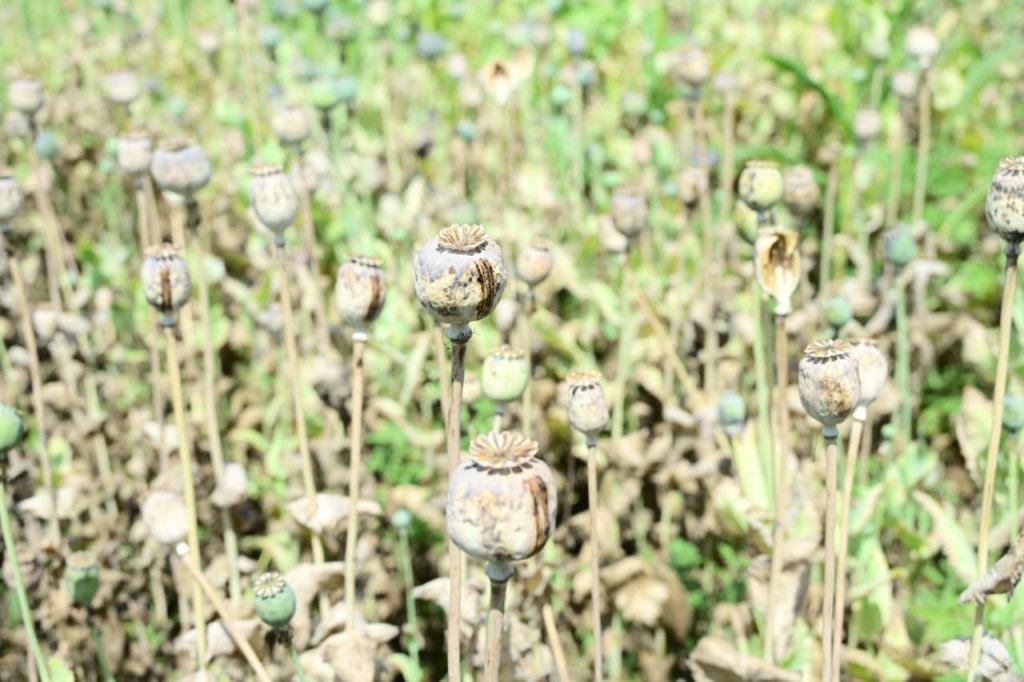 opium | No. 1 Indian Media News Portal