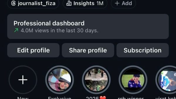 Instagram profile header for journalist_fiza in dark mode, showing bio, follower counts, and story highlights with circular avatars