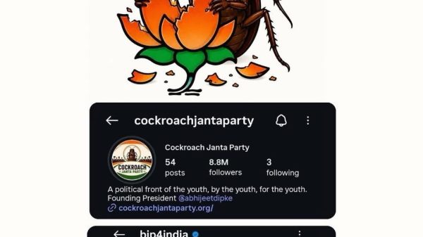Illustration of a cockroach breaking a flower with sunglasses above, and screenshots of two political party profiles below, captioned about youth power.