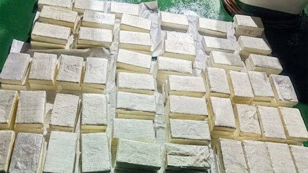 Multiple white rectangular blocks arranged in neat rows on a green surface, resembling stacked bars of soap or similar blocks.