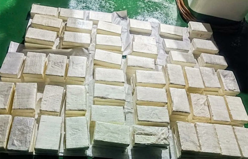 Multiple white rectangular blocks arranged in neat rows on a green surface, resembling stacked bars of soap or similar blocks.