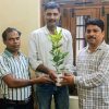 Three men indoors presenting a potted plant with variegated green and yellow leaves.",