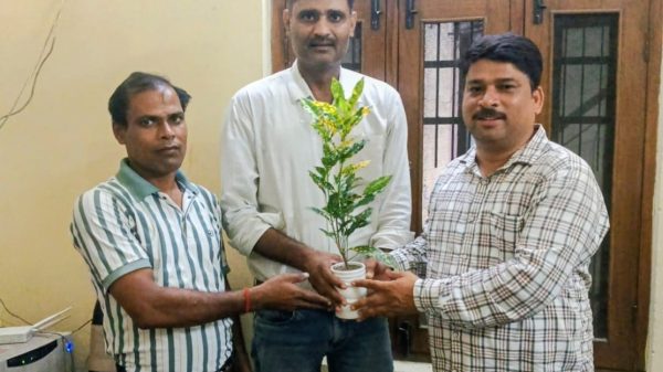 Three men indoors presenting a potted plant with variegated green and yellow leaves.",