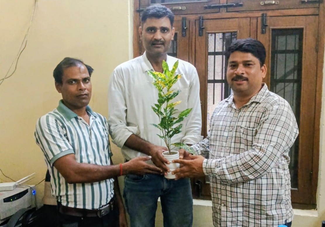Three men indoors presenting a potted plant with variegated green and yellow leaves.",