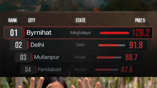 Split-screen: top shows an air-pollution scoreboard with 'BYRNIHAT' (Meghalaya 128.2, Delhi 91.8, Mullanpur 88.7, Faridabad 87.6); bottom shows a bearded man in a brown shirt raising both hands toward the camera, captioned 'from just one leaf of one tree'.
