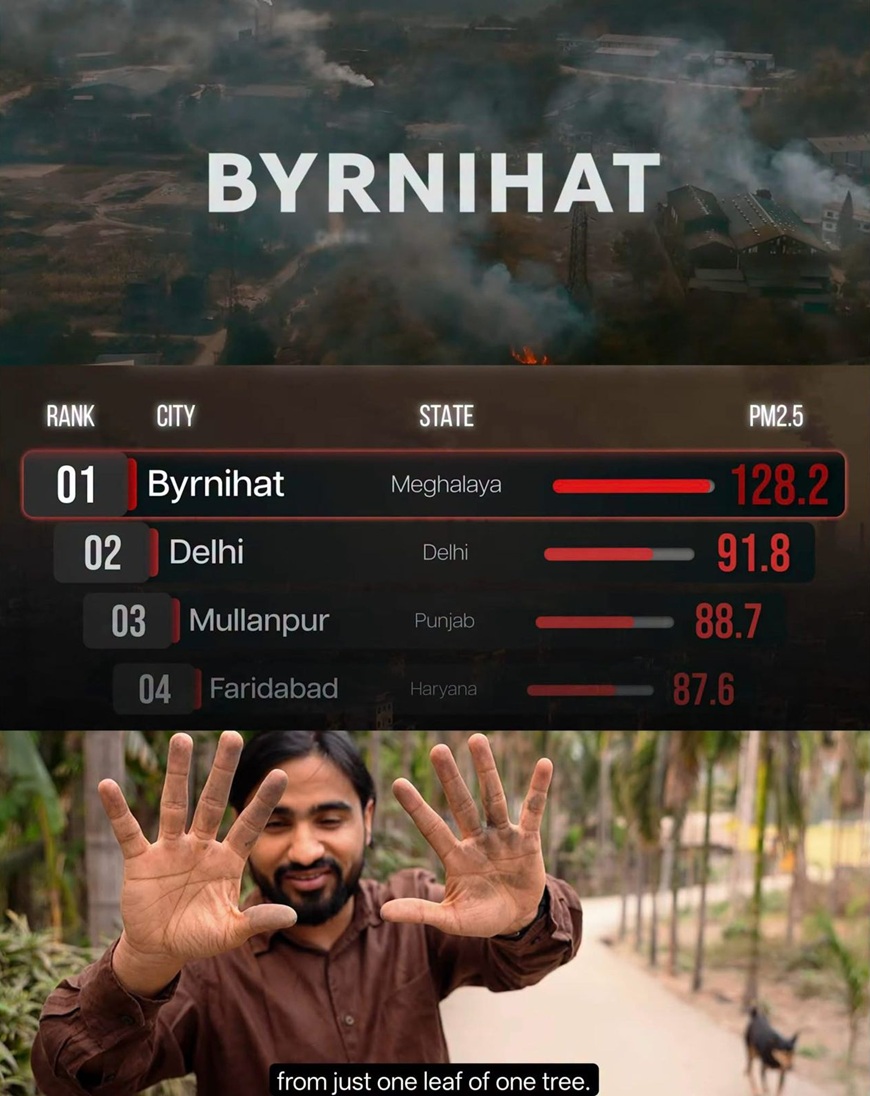 Split-screen: top shows an air-pollution scoreboard with 'BYRNIHAT' (Meghalaya 128.2, Delhi 91.8, Mullanpur 88.7, Faridabad 87.6); bottom shows a bearded man in a brown shirt raising both hands toward the camera, captioned 'from just one leaf of one tree'.