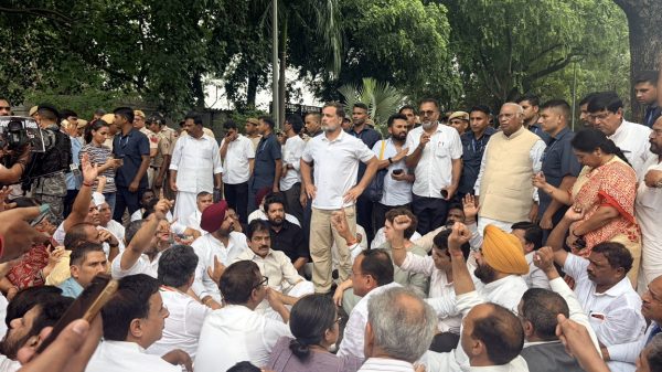 Large group of people gathered outdoors in a park, many seated on the ground with fists raised, suggesting a protest or demonstration amid trees and onlookers standing nearby.