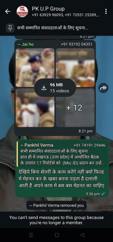WhatsApp group screen showing a media download card: 96 MB, 15 videos, with blurred thumbnails and a '+12' placeholder; a Hindi message from Pankhil Verma in a green chat bubble; a notice says you can't send messages because you're not a member.