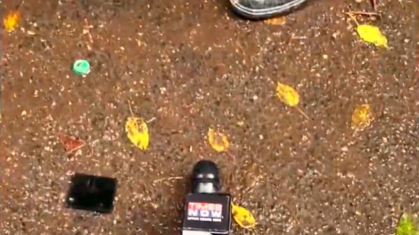 Broadcast microphone lying on wet pavement among yellow leaves, with a shoe visible in the background.