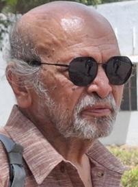 Older man with a gray beard and bald head, wearing round sunglasses and a brown plaid shirt, outdoors (backpack strap over his shoulder).
