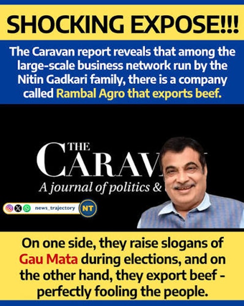 Meme-style image with a bold yellow banner reading SHOCKING EXPOSE!!!, then a blue panel claiming a Caravan report says Rambal Agro exports beef; a black section shows The Caravan logo and a smiling man in a blue shirt, with yellow bottom text accusing slogans about Gau Mata.