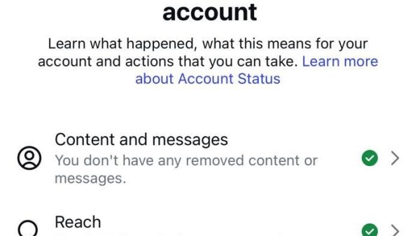 Account Status screen showing an avatar with the Indian flag, and a list of status items: Content and messages, Reach, Features, Monetisation, Unavailable in some locations, each with a green check or warning icon.