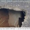 Roadway collapse visible: large hole in asphalt with exposed soil and a concrete wall beneath the road near a guardrail, suggesting a sinkhole.