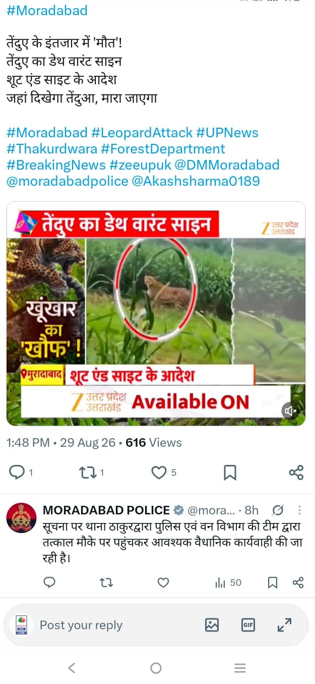 News post screenshot about a leopard attack in Moradabad; Hindi headlines with a circled leopard image and an 'Available ON' banner, plus blue hashtags above.