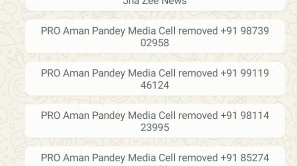 WhatsApp chat screen titled 'Delhi BJP Media Group 2026' showing multiple messages from PRO Aman Pandey Media Cell about removals, each with phone numbers and names, on a patterned background.