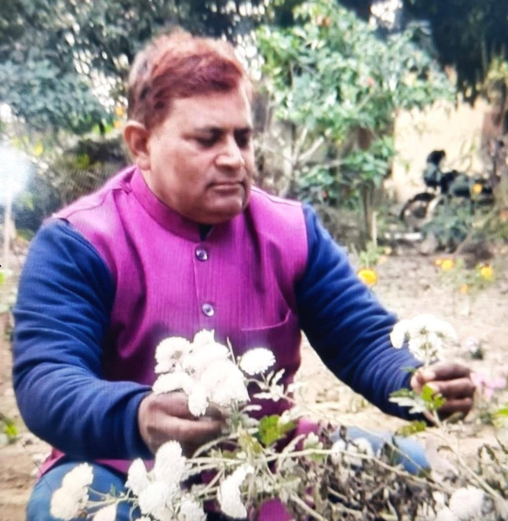 dilbar | No. 1 Indian Media News Portal Man in a magenta kurta with blue sleeves gathering white flowers in a garden.