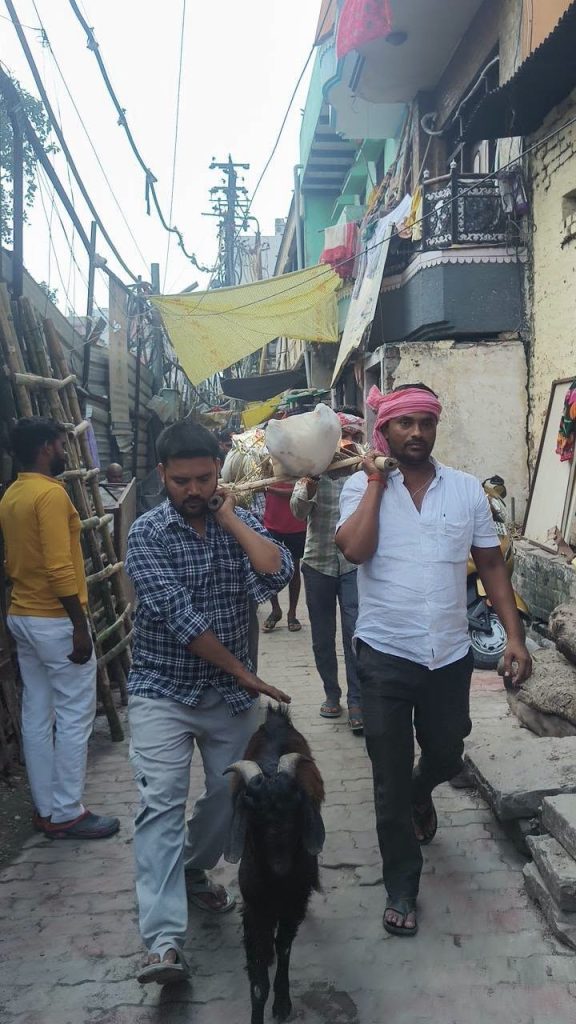 Two men walk down a narrow street in India, carrying a large load on a pole while a goat leads the way ahead of them.