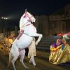 Nighttime stage performance featuring a white horse rearing, with colorful costumed performers nearby.